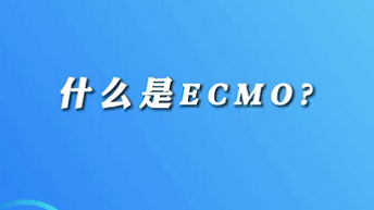 【名醫(yī)面對面之心臟100問】什么是ECMO？