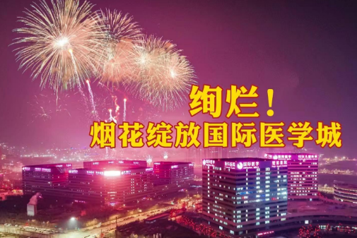 絢爛！煙花綻放國際醫(yī)學(xué)城